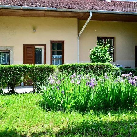 Afrodite Apartmanok Eger Bagian luar foto
