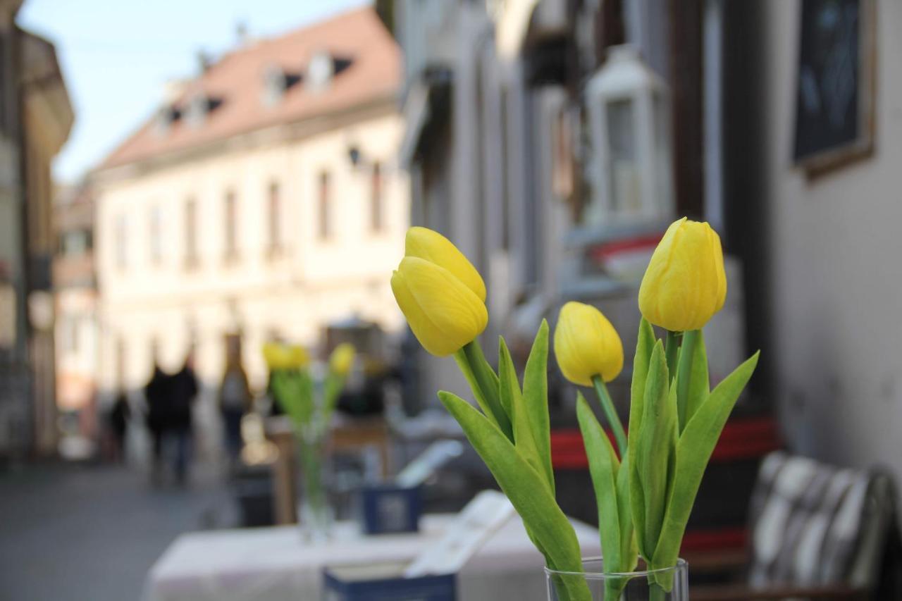 Afrodite Apartmanok Eger Bagian luar foto